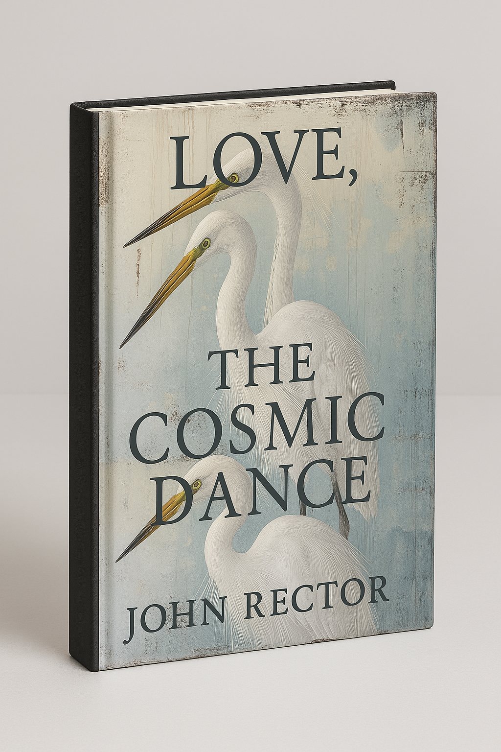 The first edition of Love, The Cosmic Dance, standing on a table.